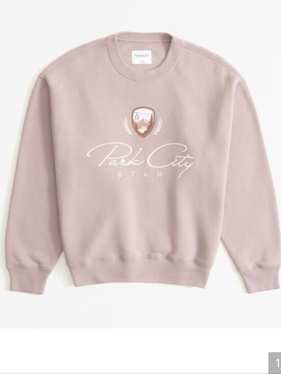 Abercrombie & Fitch Tops - Abercrombie & Fitch Ski Sweatshirt Park City Utah Sz Large